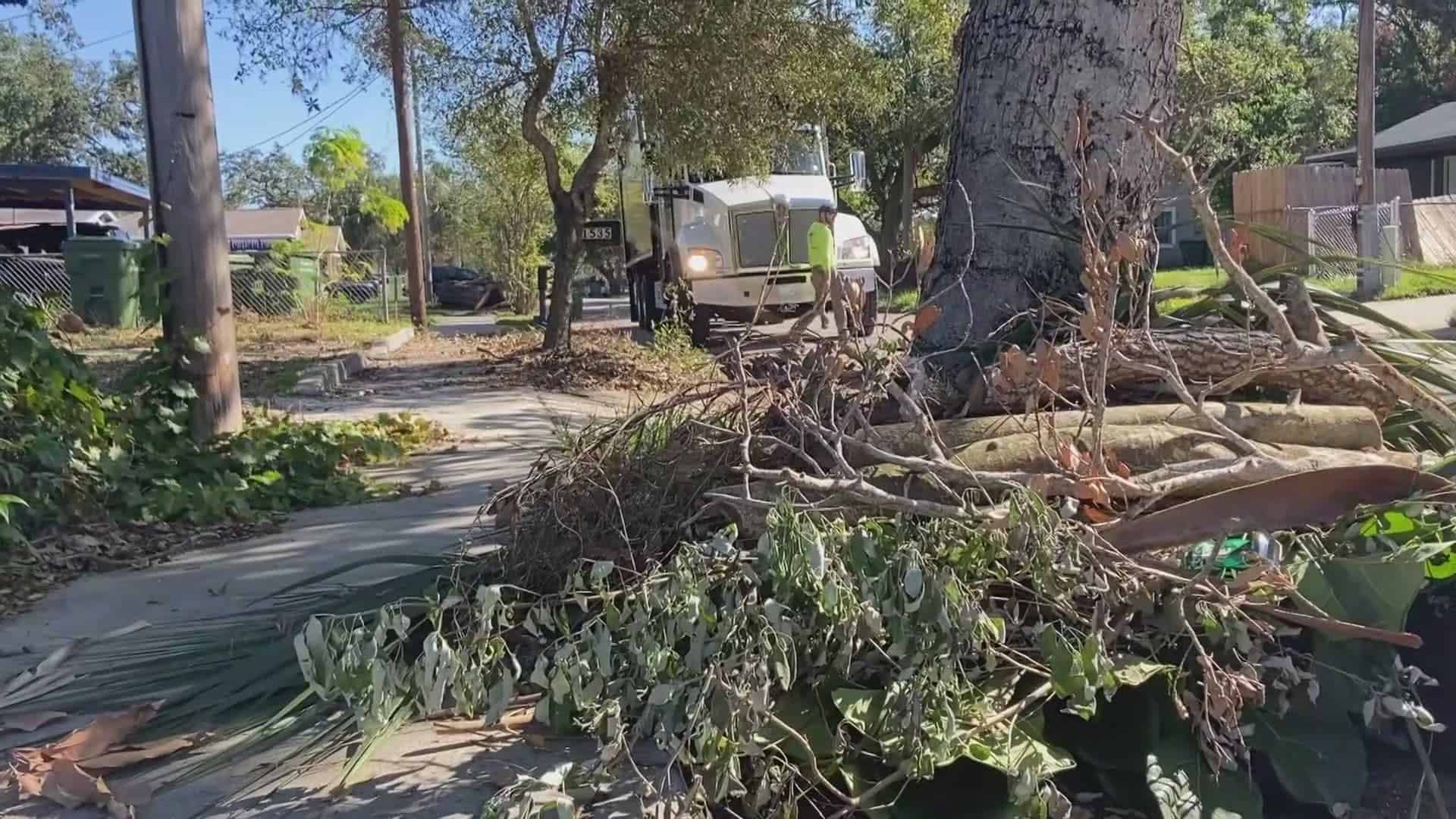 Brush & Debris Pickup image